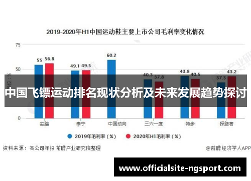 中国飞镖运动排名现状分析及未来发展趋势探讨